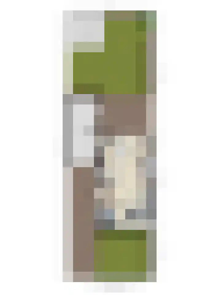 Sleutelbloem 4 Haaren thumbnail 39