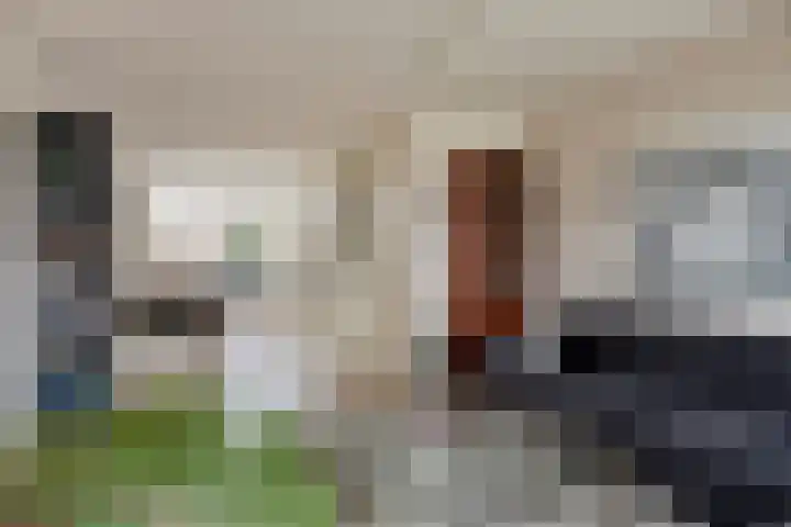 Sleutelbloem 4 Haaren thumbnail 8