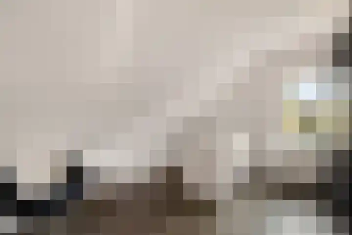 Sleutelbloem 4 Haaren thumbnail 9