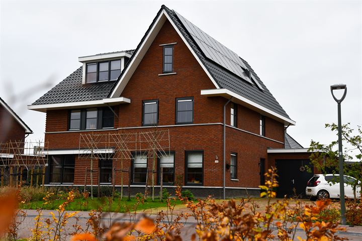 Sleutelbloem 41 in Leek photo