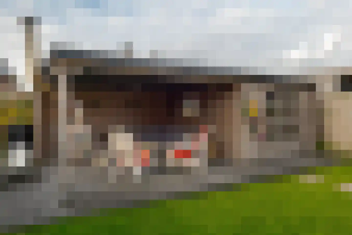 Sleutelbloem 47 Leek thumbnail 42