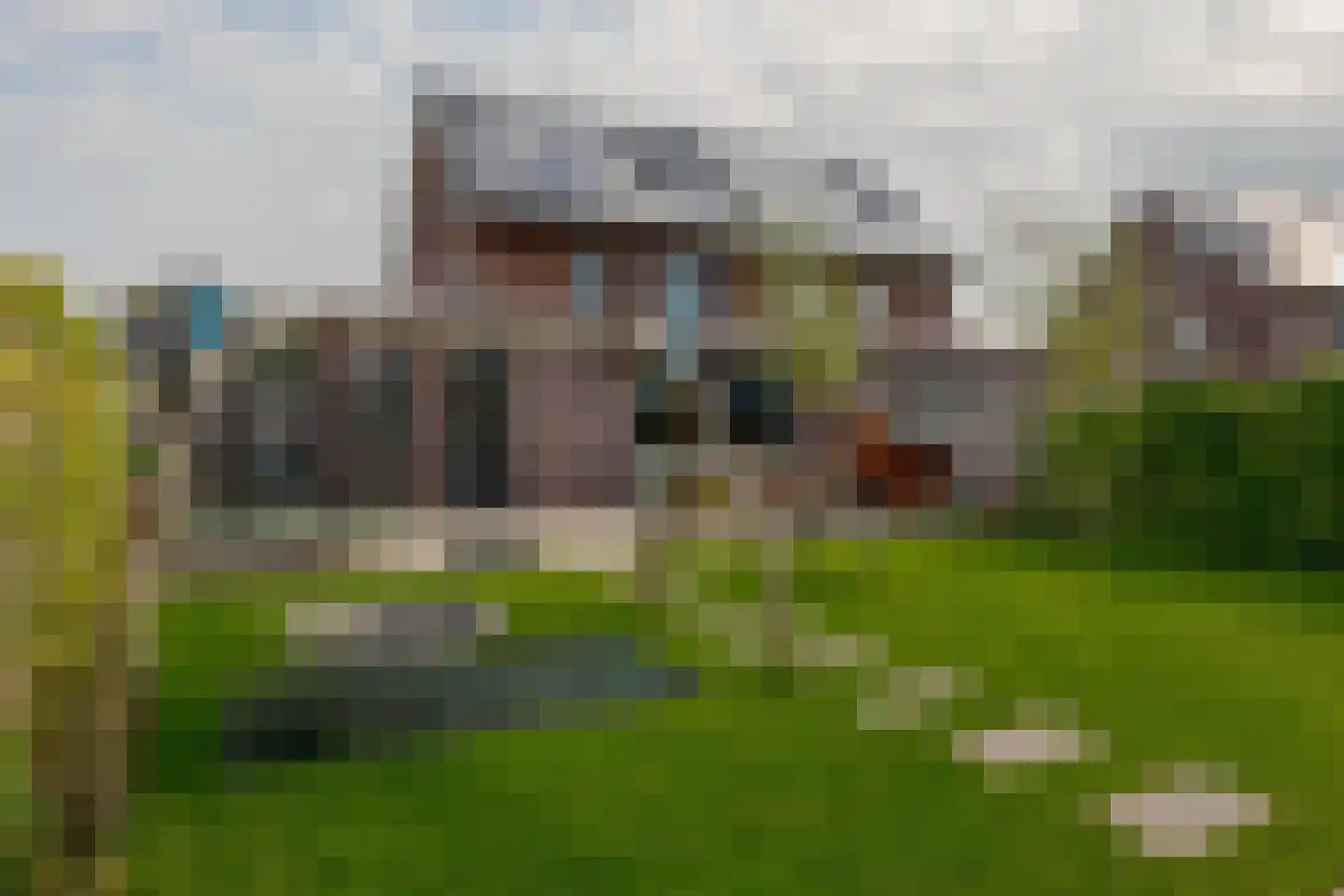 Sleutelbloem 47 Leek thumbnail 46