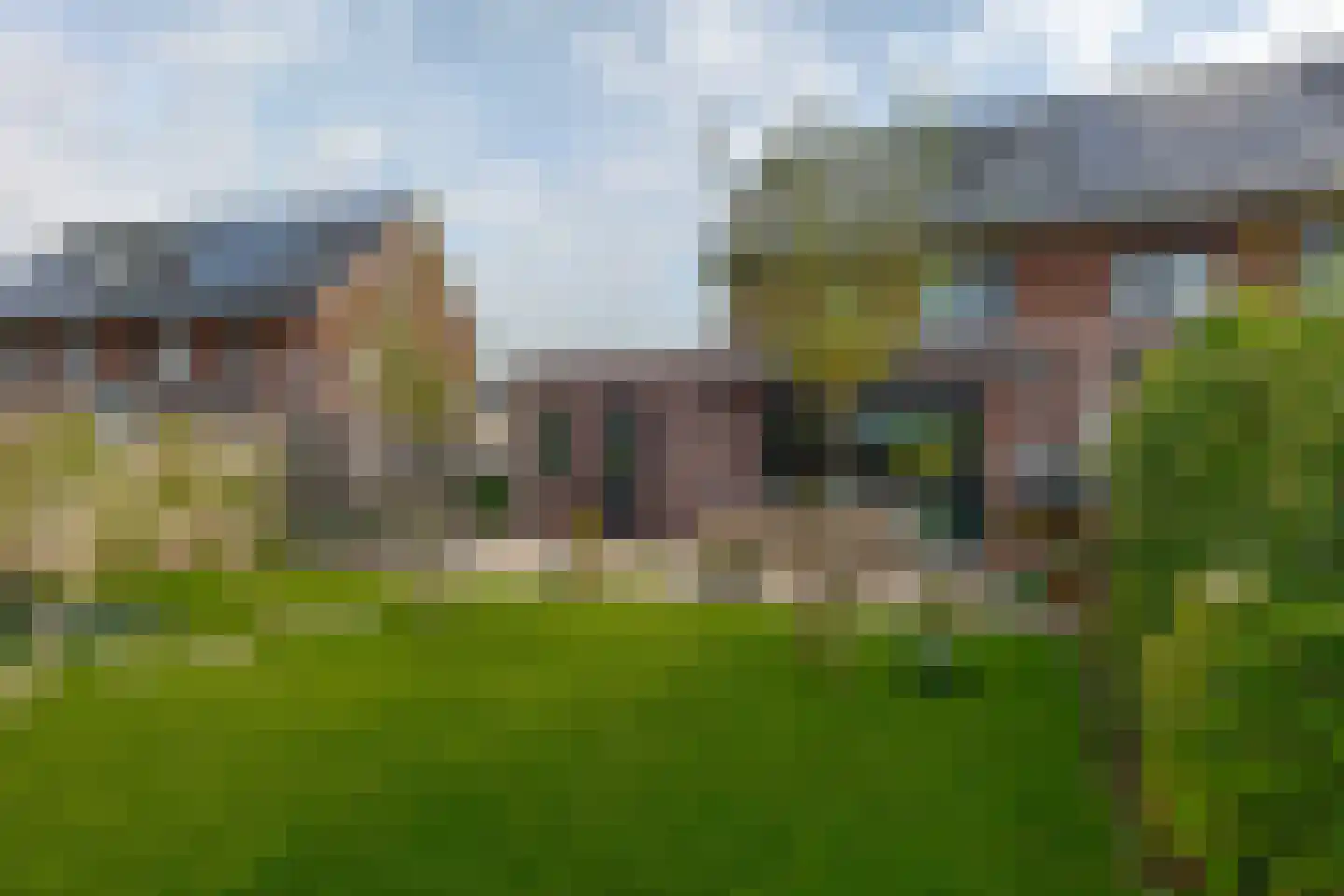 Sleutelbloem 47 Leek thumbnail 47