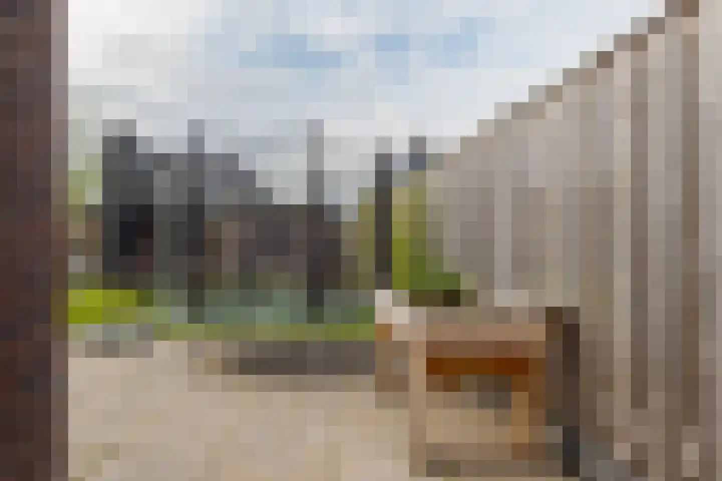 Sleutelbloem 47 Leek thumbnail 48