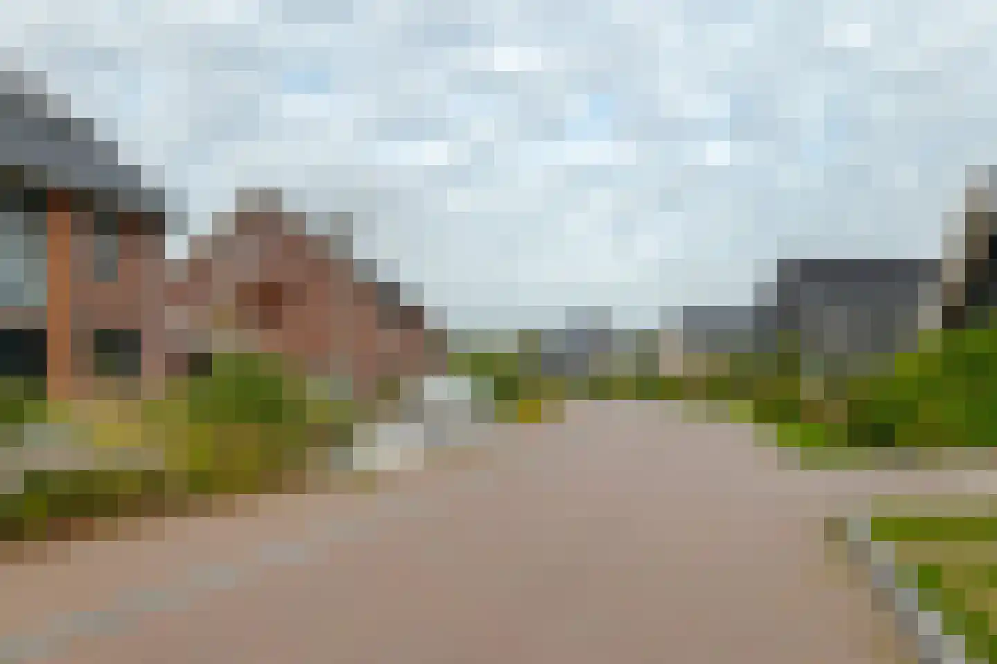 Sleutelbloem 47 Leek thumbnail 5