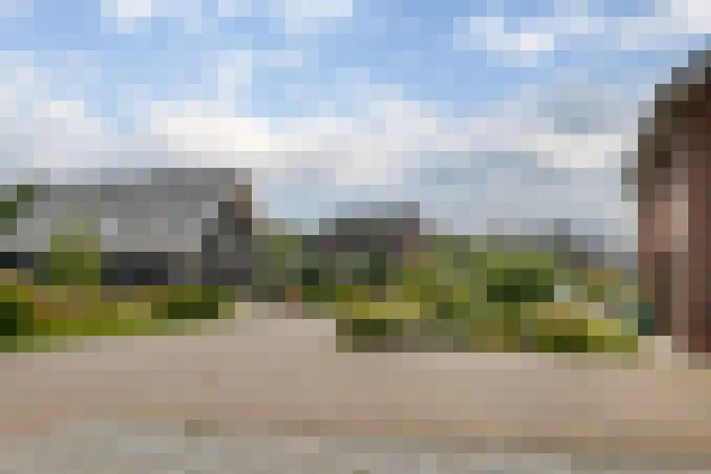 Sleutelbloem 47 Leek thumbnail 7