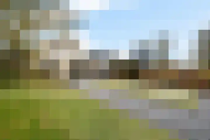 Sleutelbloem 48 Leeuwarden thumbnail 20