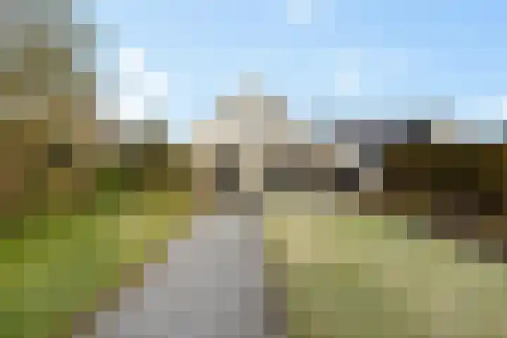 Sleutelbloem 48 Leeuwarden thumbnail 21