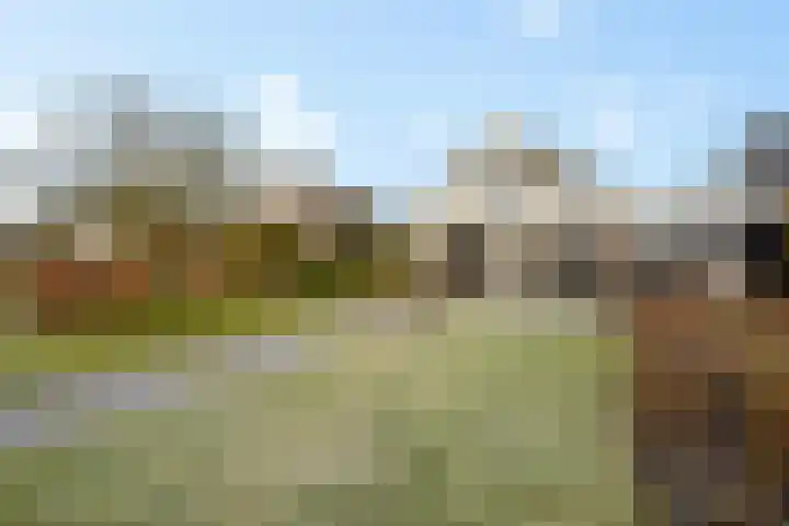Sleutelbloem 48 Leeuwarden thumbnail 22