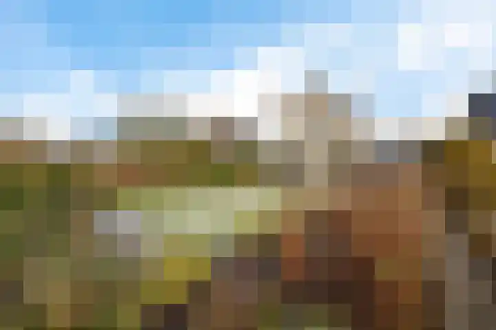 Sleutelbloem 48 Leeuwarden thumbnail 23
