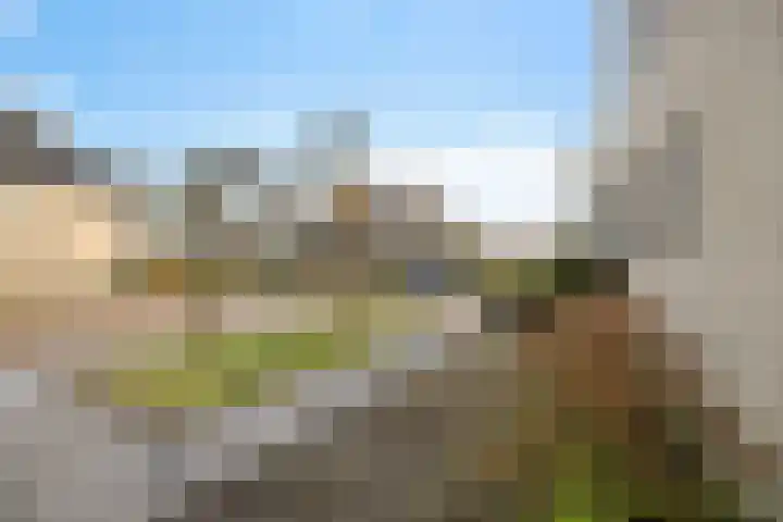 Sleutelbloem 48 Leeuwarden thumbnail 47