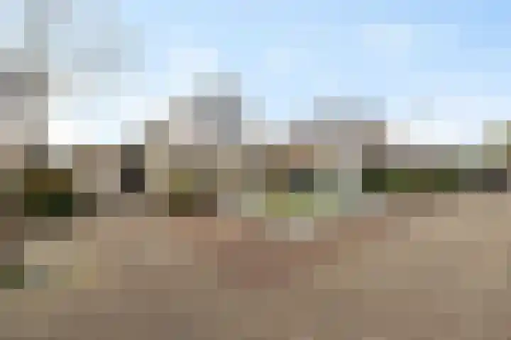 Sleutelbloem 48 Leeuwarden thumbnail 5