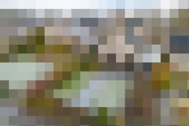 Sleutelbloem 48 Leeuwarden thumbnail 62