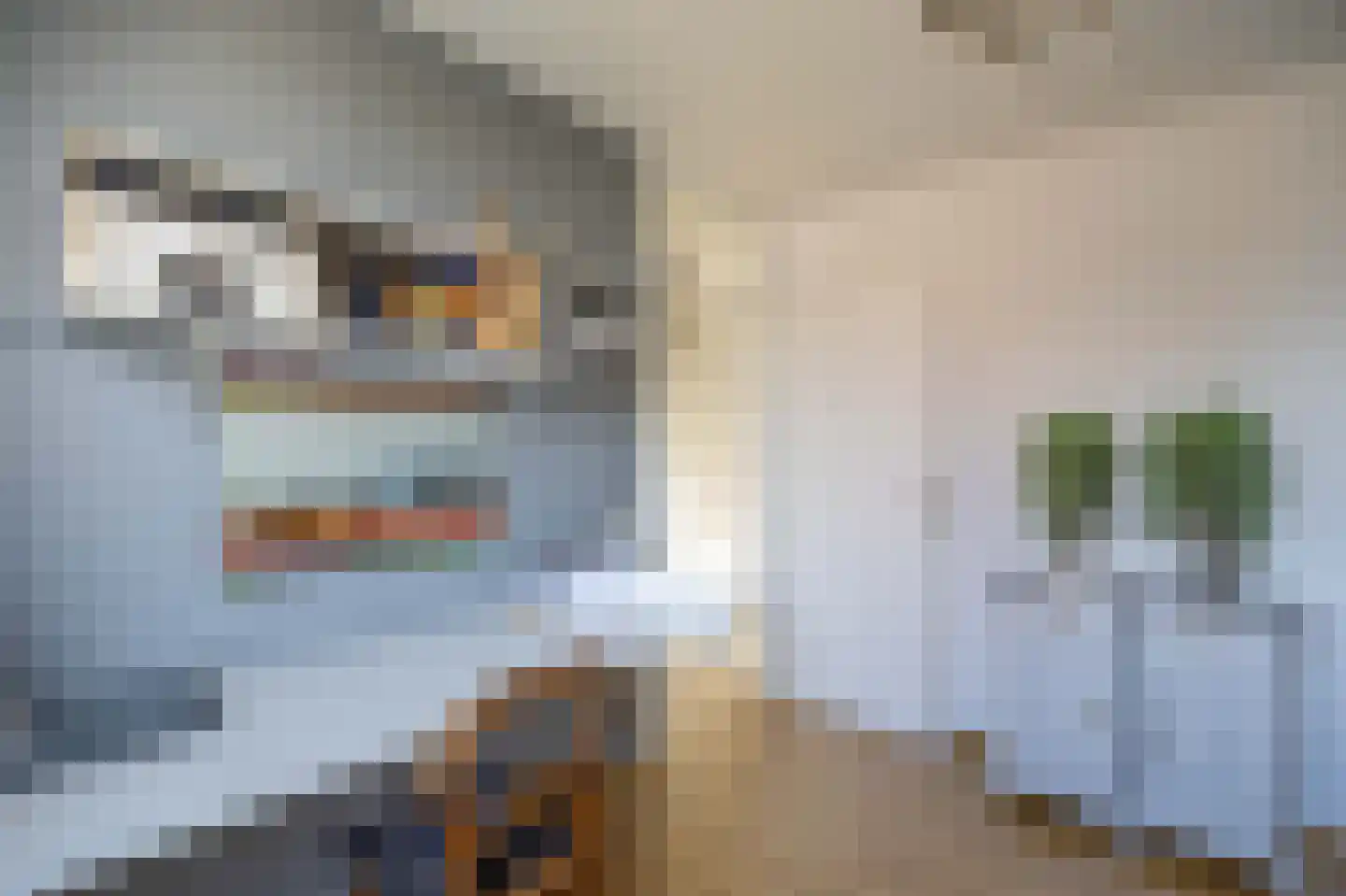 Sleutelbloem 48 Venray thumbnail 23