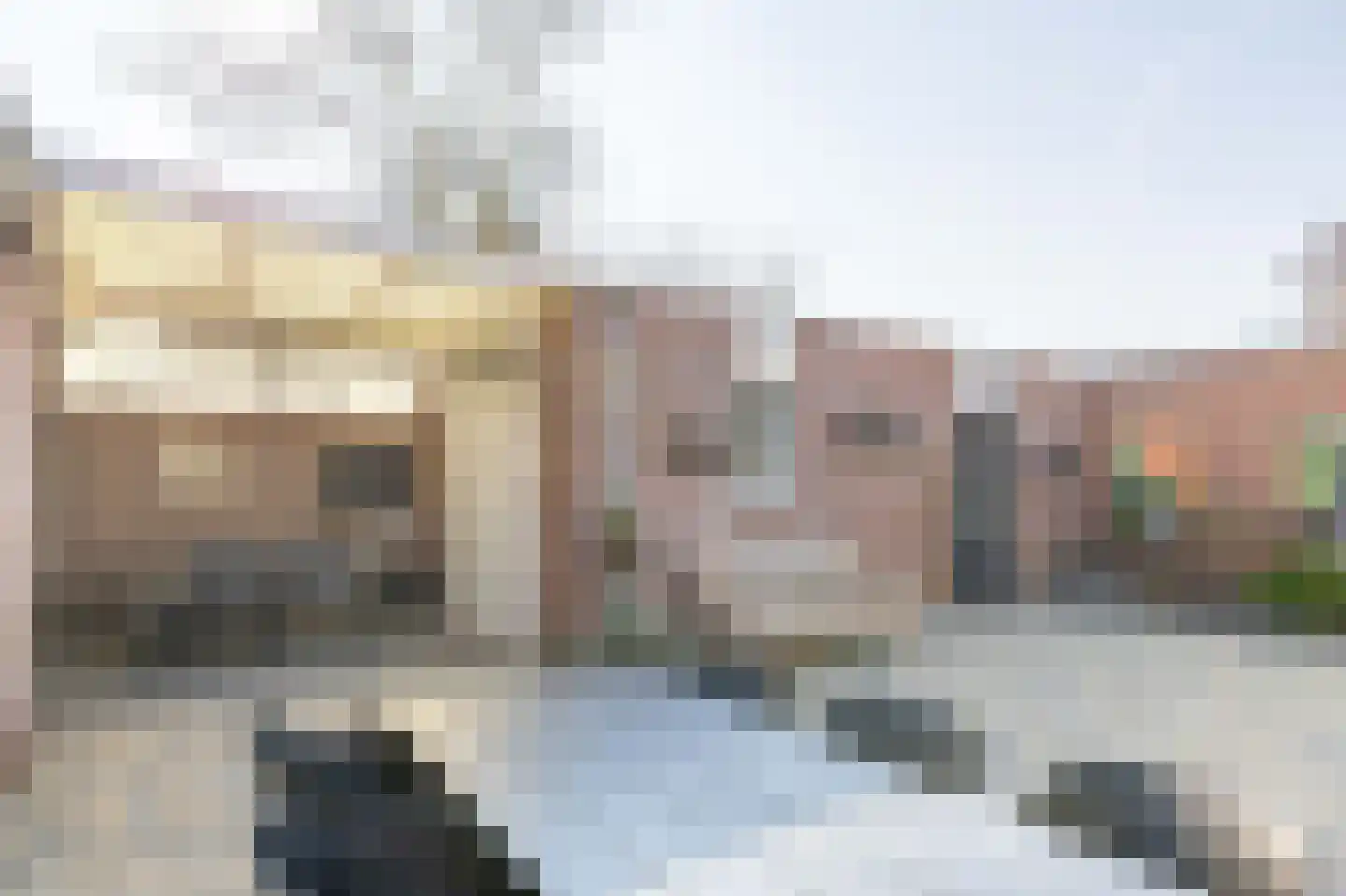 Sleutelbloem 48 Venray thumbnail 34