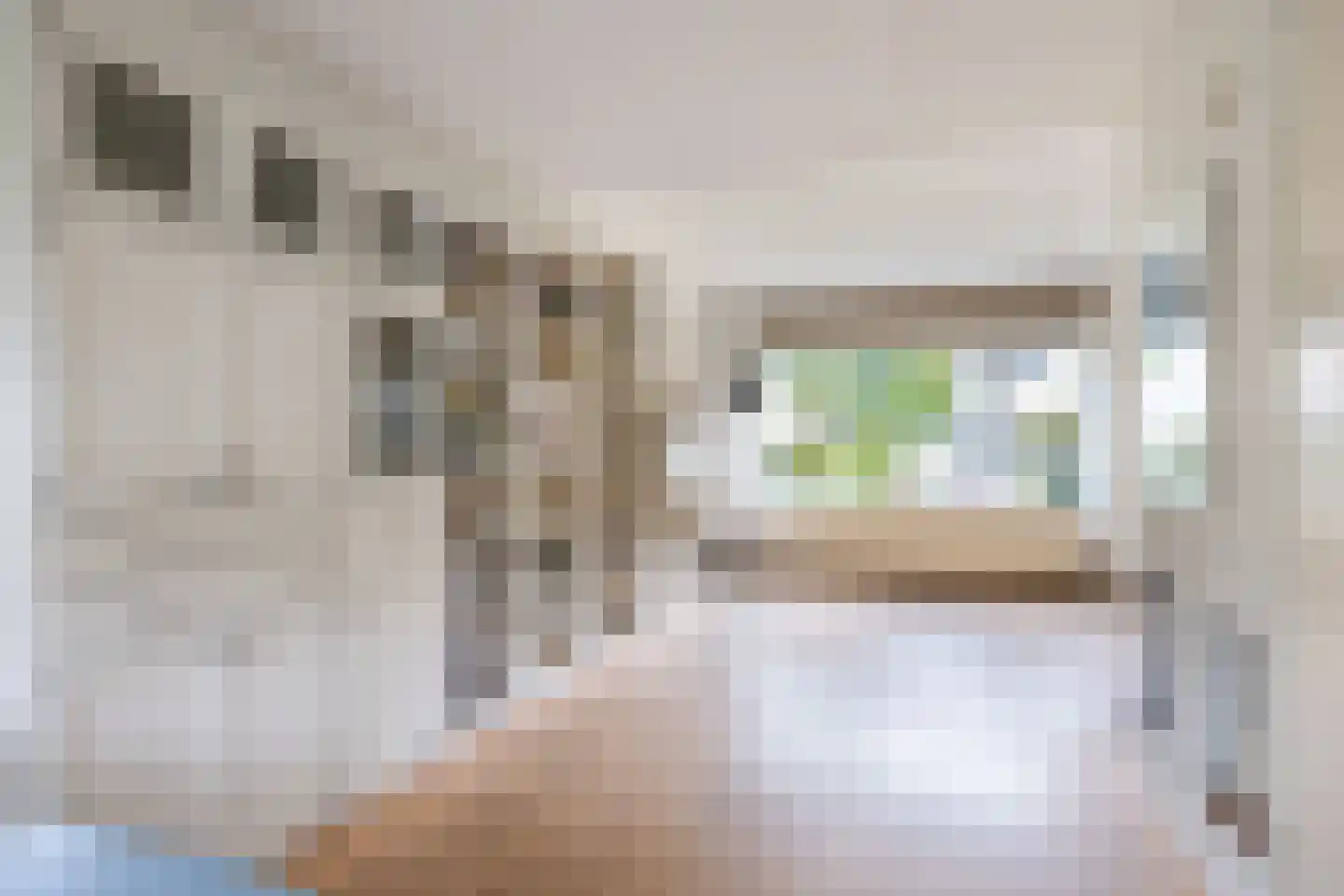 Sleutelbloem 5 Leeuwarden thumbnail 14