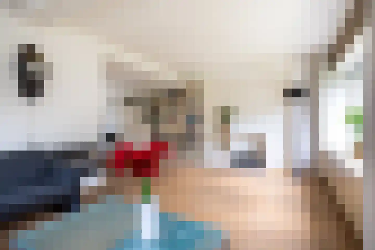 Sleutelbloem 5 Leeuwarden thumbnail 17