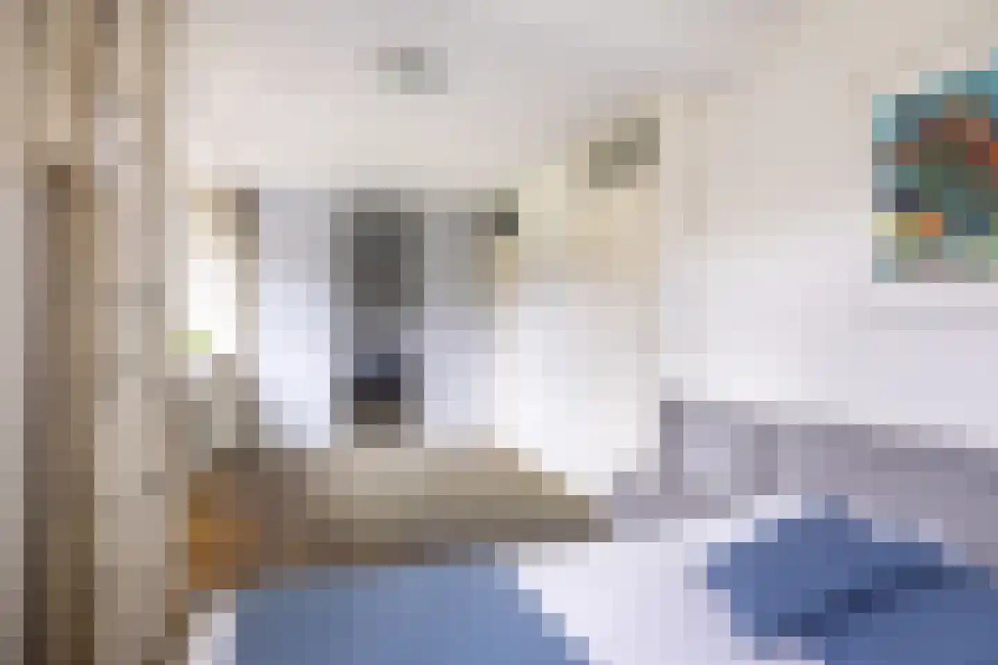 Sleutelbloem 5 Leeuwarden thumbnail 33