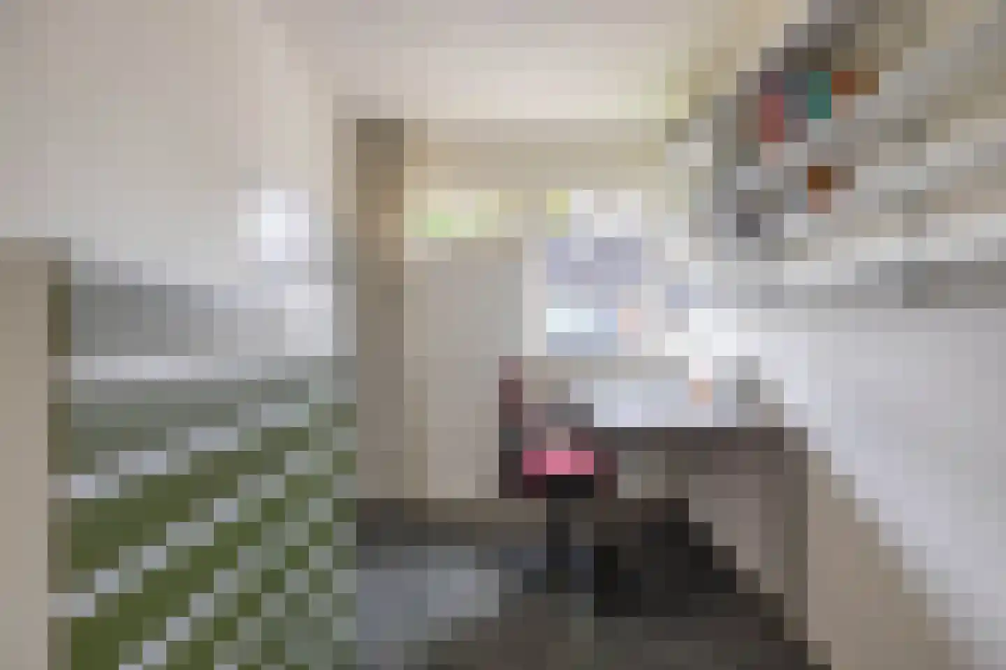 Sleutelbloem 5 Leeuwarden thumbnail 39