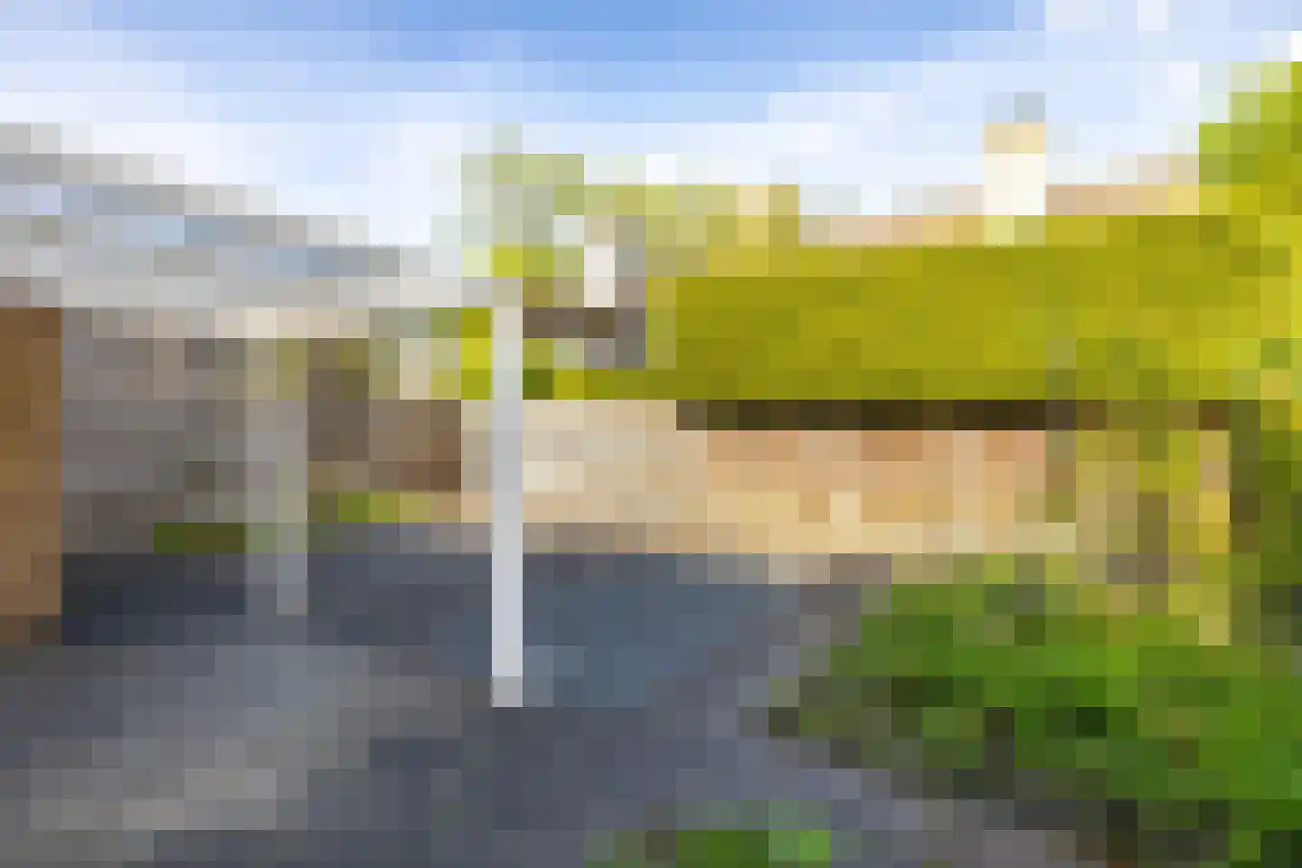 Sleutelbloem 5 Leeuwarden thumbnail 48