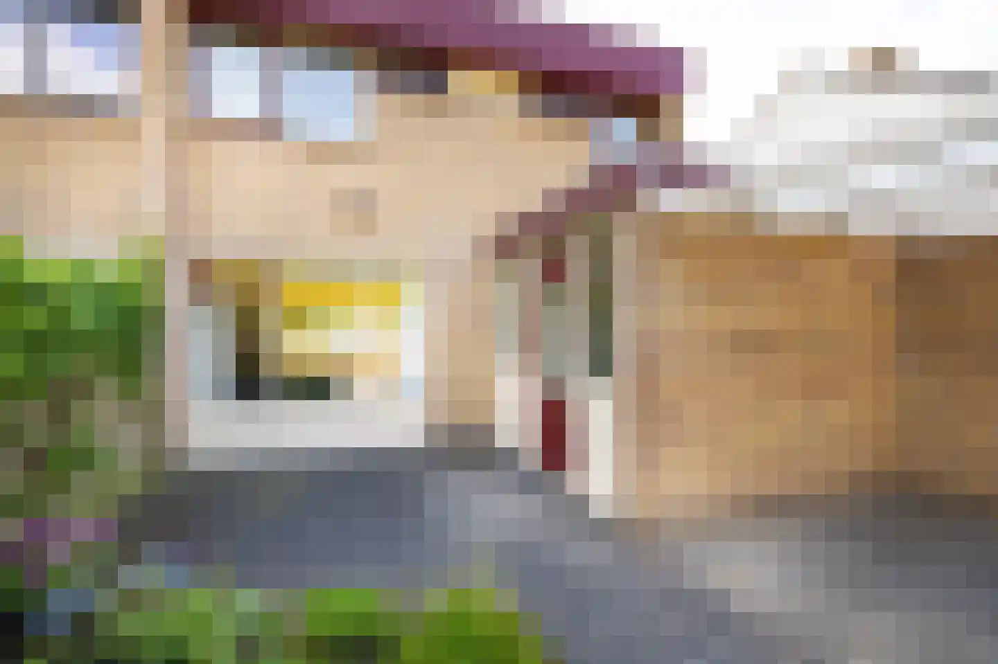 Sleutelbloem 5 Leeuwarden thumbnail 49