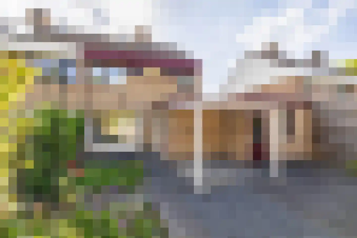 Sleutelbloem 5 Leeuwarden thumbnail 5