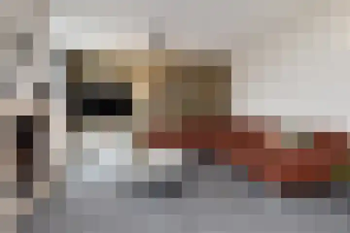 Sleutelbloem 5 Nootdorp thumbnail 12