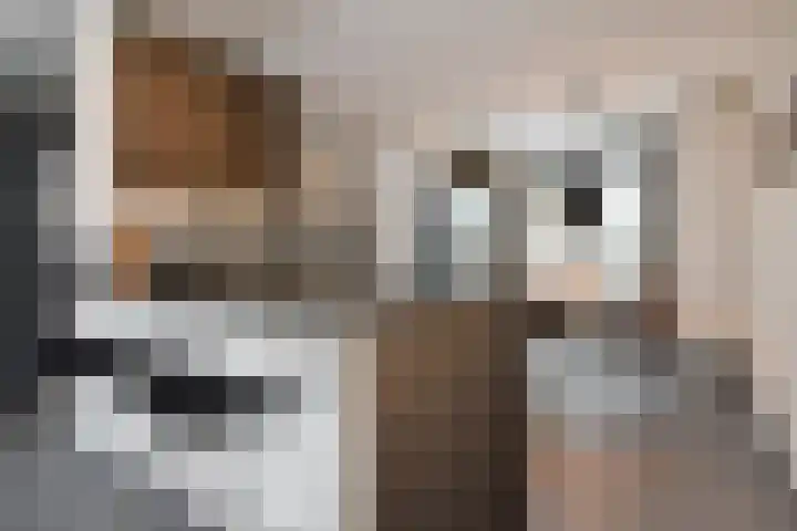 Sleutelbloem 5 Nootdorp thumbnail 15