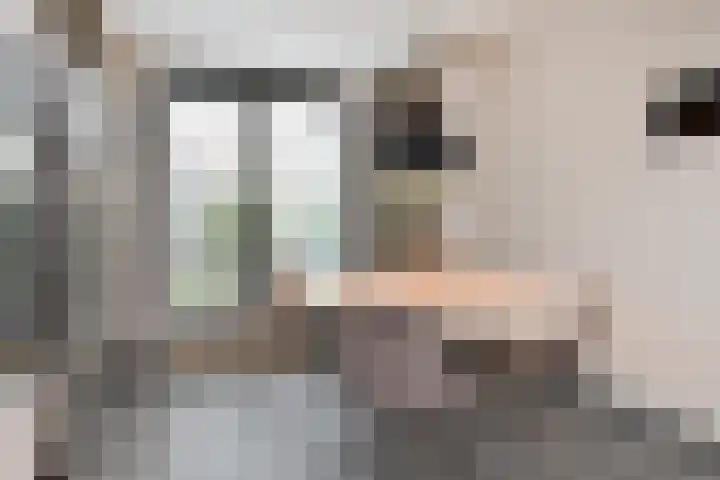 Sleutelbloem 5 Nootdorp thumbnail 17