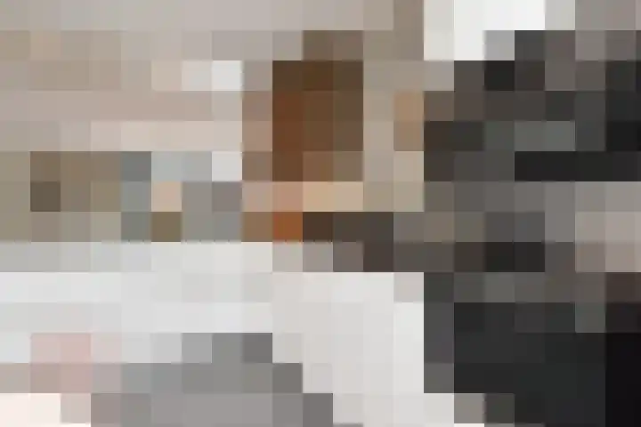 Sleutelbloem 5 Nootdorp thumbnail 19