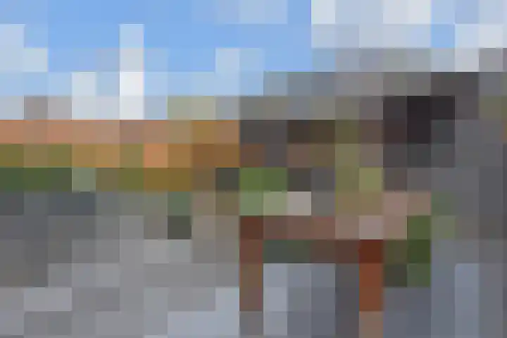 Sleutelbloem 5 Nootdorp thumbnail 23