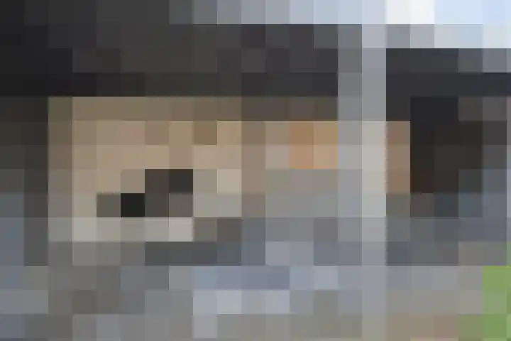 Sleutelbloem 5 Nootdorp thumbnail 28