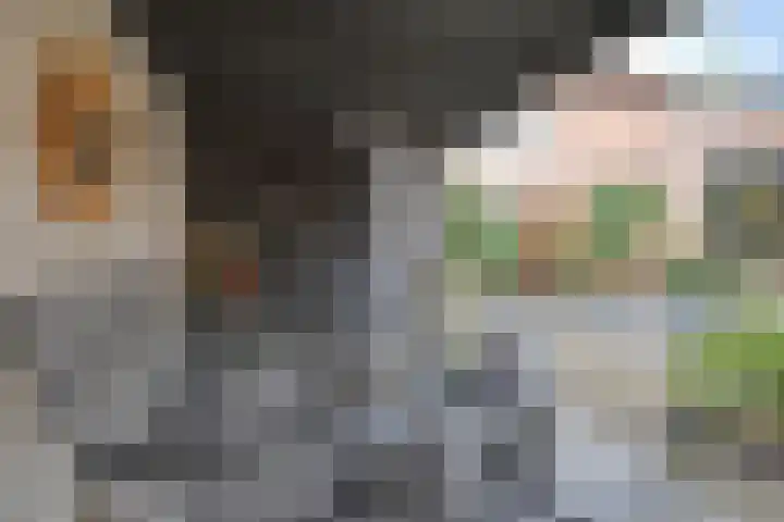 Sleutelbloem 5 Nootdorp thumbnail 29