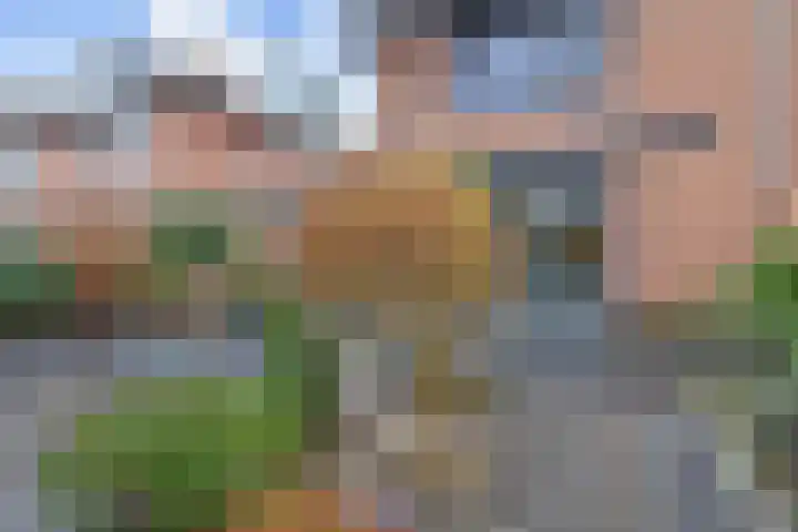 Sleutelbloem 5 Nootdorp thumbnail 31