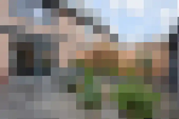 Sleutelbloem 5 Nootdorp thumbnail 32