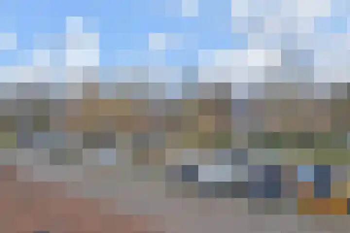Sleutelbloem 5 Nootdorp thumbnail 60