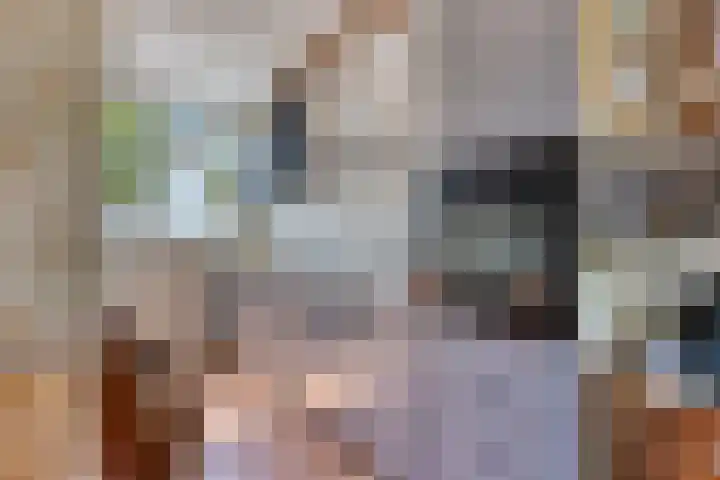 Sleutelbloem 55 Culemborg thumbnail 12