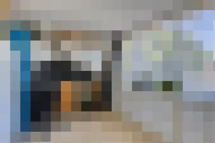 Sleutelbloem 55 Culemborg thumbnail 22