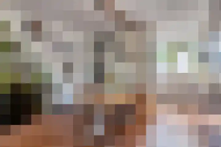 Sleutelbloem 55 Culemborg thumbnail 8