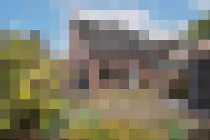 Sleutelbloem 56 Delden thumbnail 25