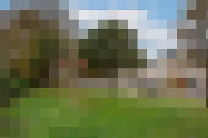 Sleutelbloem 56 Delden thumbnail 28