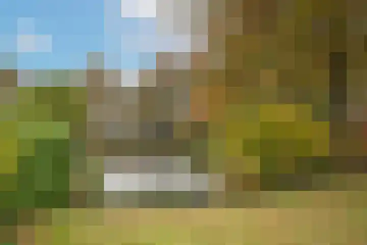 Sleutelbloem 56 Delden thumbnail 29