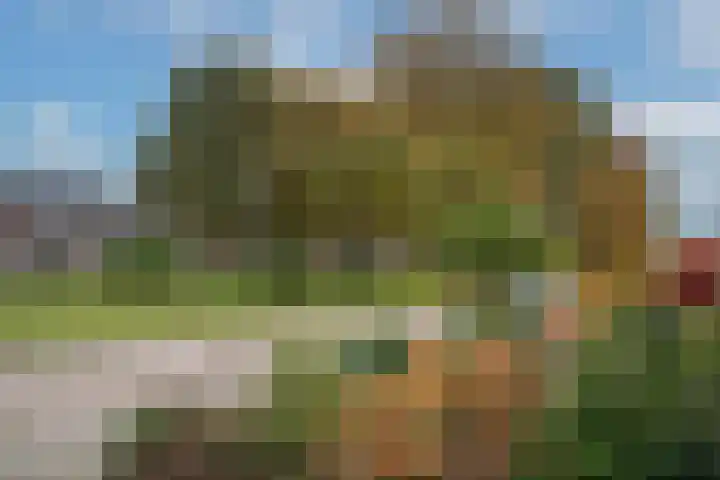 Sleutelbloem 56 Delden thumbnail 30