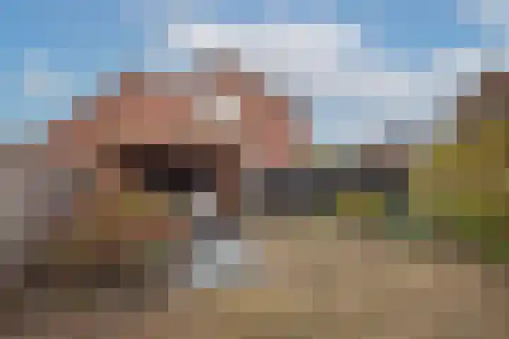 Sleutelbloem 56 Delden thumbnail 4
