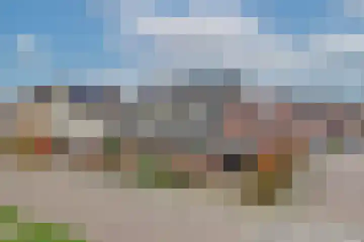 Sleutelbloem 56 Delden thumbnail 5