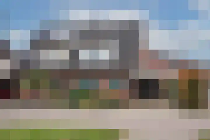 Sleutelbloem 56 Delden thumbnail 6