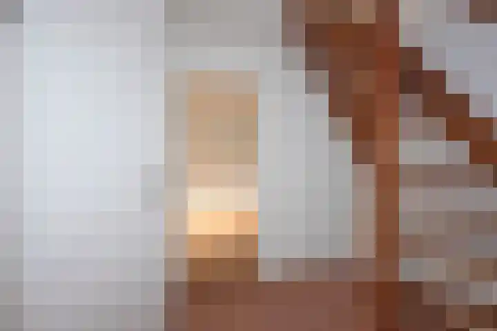 Sleutelbloem 56 Delden thumbnail 8