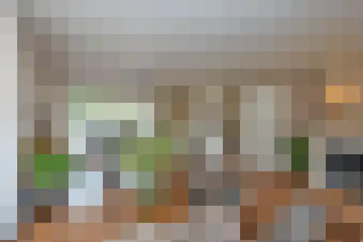 Sleutelbloem 59 Delden thumbnail 14