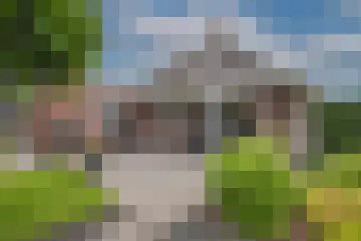 Sleutelbloem 59 Delden thumbnail 32