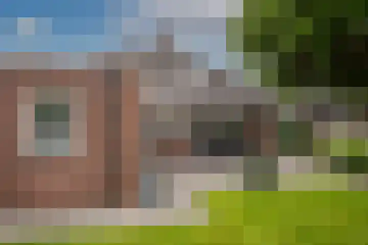 Sleutelbloem 59 Delden thumbnail 33